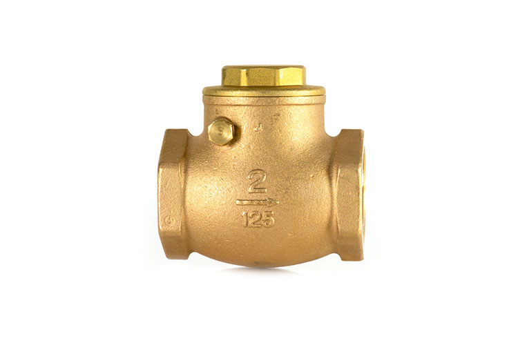 SS Check Valve