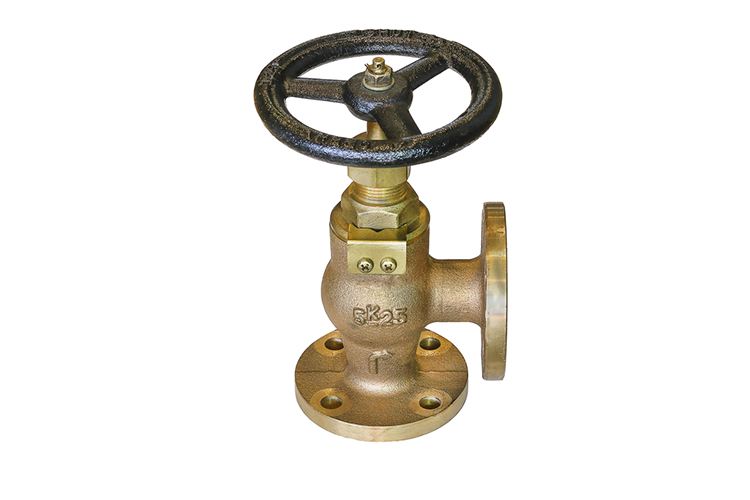 SS Globe Valve