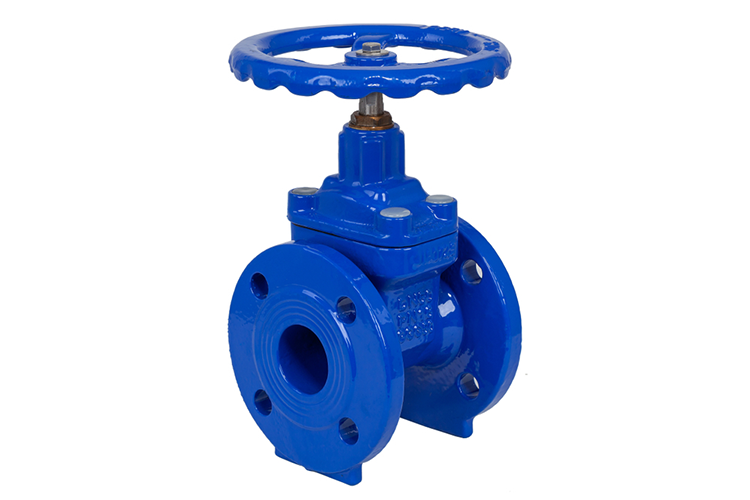 SS Gate Valve