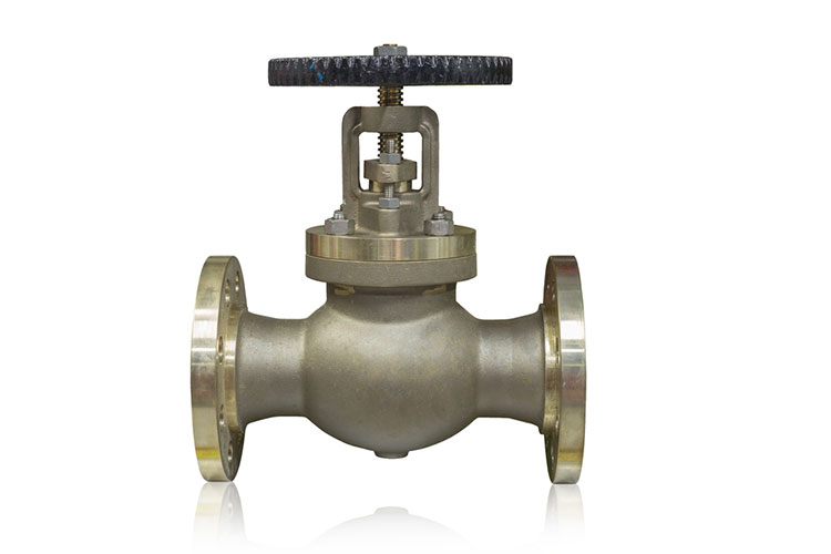 SS Globe Valve