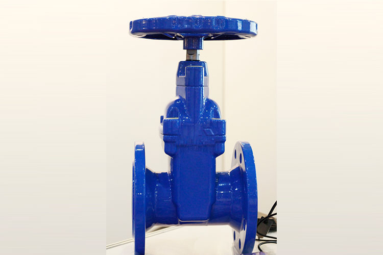 SS Pressure Seal Valve